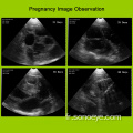 Scanner à ultrasons vétérinaire sans fil